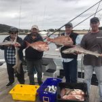 narooma fishing charter gallery 6