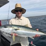 narooma king fish